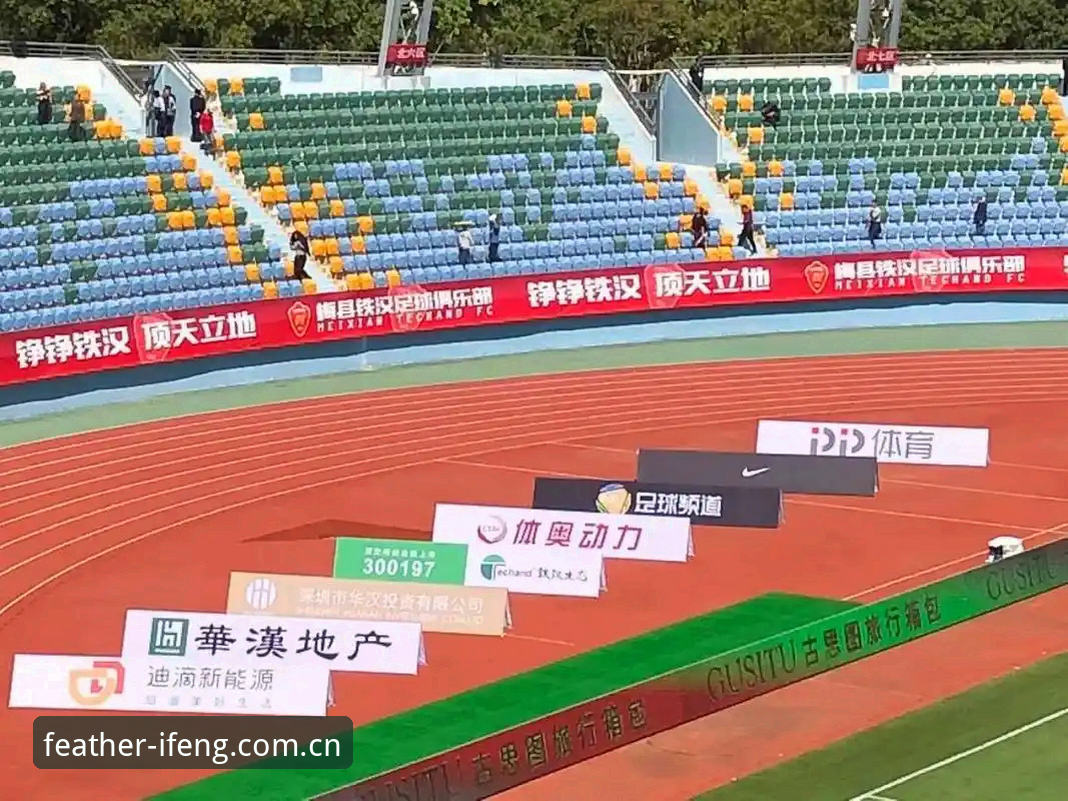 凤凰体育资讯vs传统体育平台：哪个更适合深度体育迷？