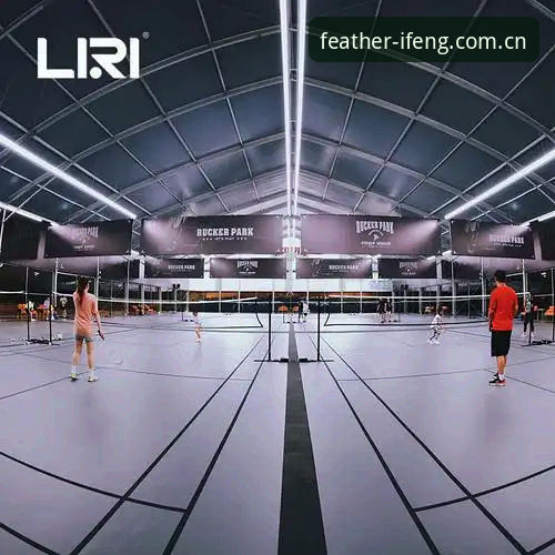 凤凰体育官方网站深度分析：老用户详解一站式体育服务平台的真实体验